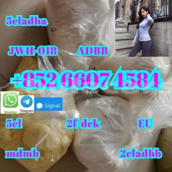 Big with watermark ac aceca central deuba 15081