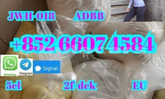 Buy New AC Aceca Black Car in Deuba in Central Buy New AC Aceca Black Car in Deuba in Central