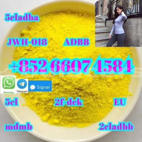 Big with watermark ac aceca central deuba 15081