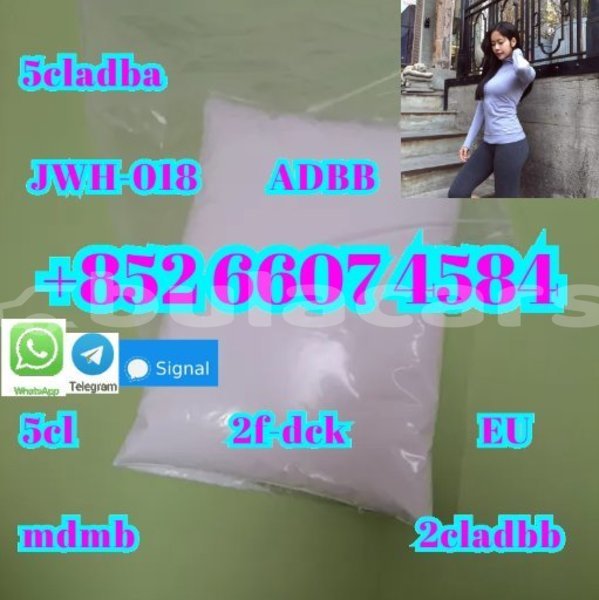 Big with watermark ac aceca central deuba 15081