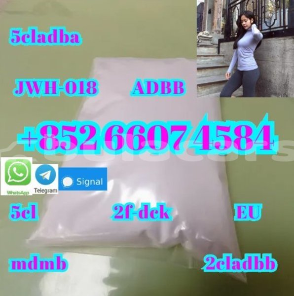 Big with watermark ac aceca central deuba 15081