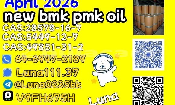 Buy Used AC 378 GT Zagato Beige Car in Ba in Western