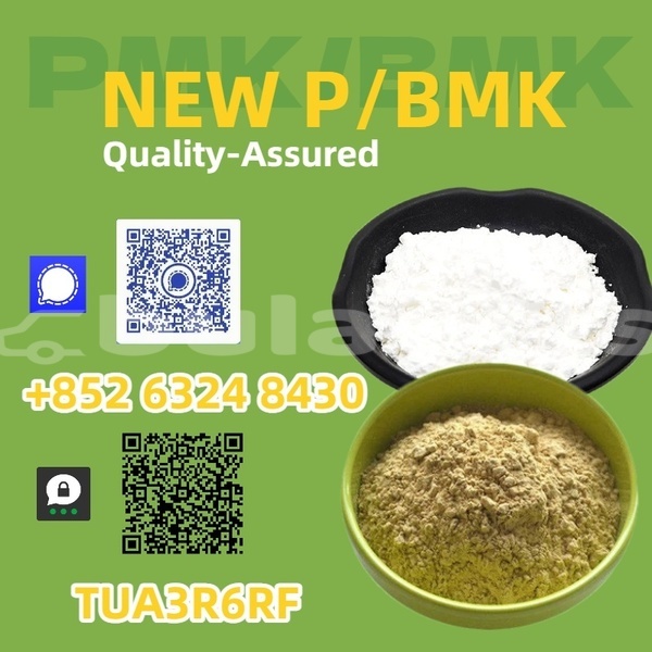 Big with watermark adler trumpf junior northern korokade 15090