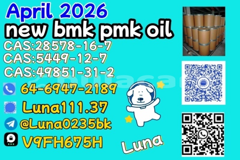 Big with watermark abarth 500 western ba 15130