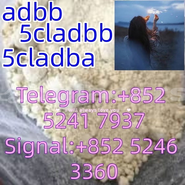 Big with watermark adler 1902 western ba 15144