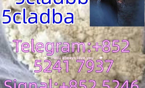 Buy Used Adler 1902 Beige Bike in Ba in Western