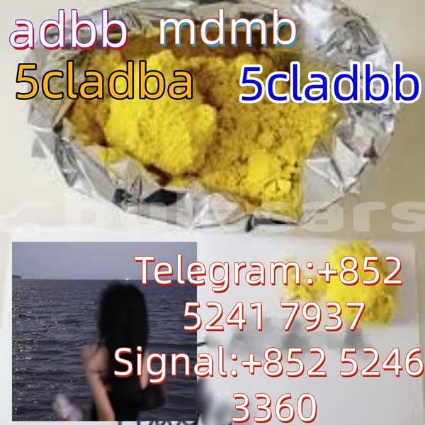 Big with watermark adler 1902 western ba 15145