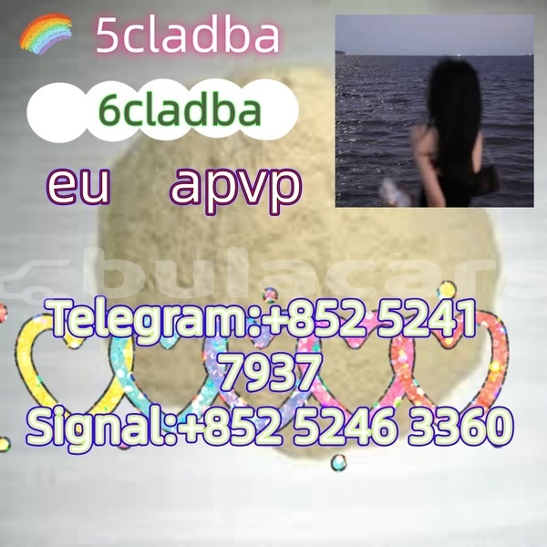 Big with watermark adler 1902 western ba 15148