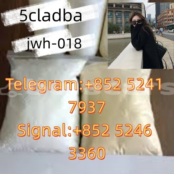 Big with watermark adler 1902 western ba 15149