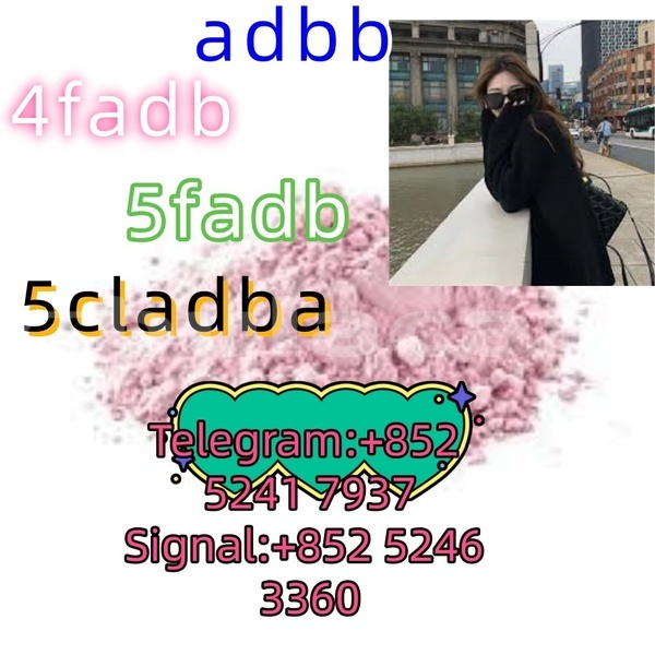 Big with watermark adler 1902 western ba 15150