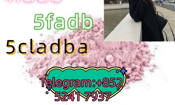 Buy Used Adler 1902 Beige Bike in Ba in Western