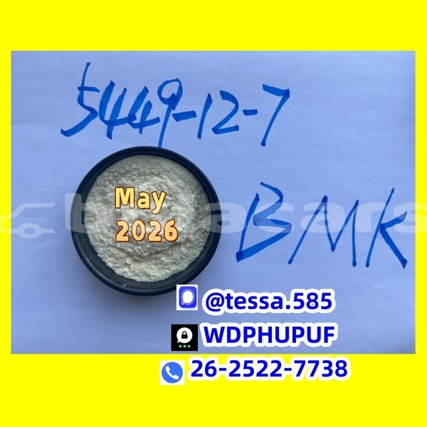 Big with watermark 0 5449 3