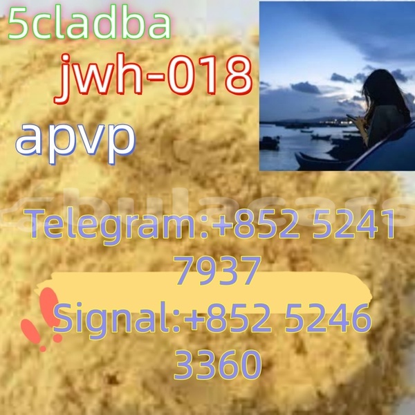 Big with watermark adler 1902 western ba 15152