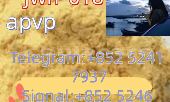 Buy Used Adler 1902 Beige Bike in Ba in Western