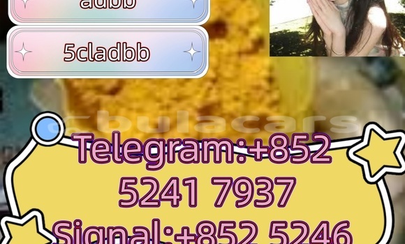 Buy Used Adler 1902 Beige Bike in Ba in Western