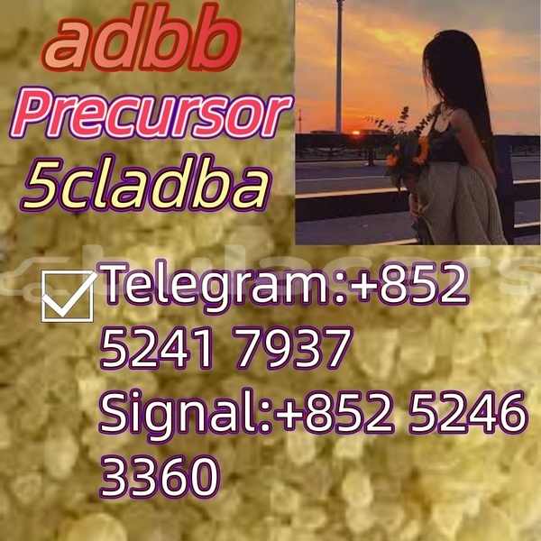 Big with watermark adler 1902 western ba 15154