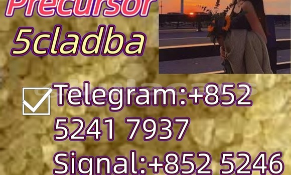 Buy Used Adler 1902 Beige Bike in Ba in Western