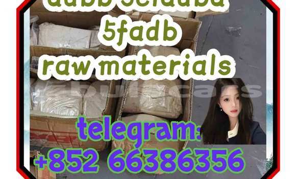 Medium with watermark 2