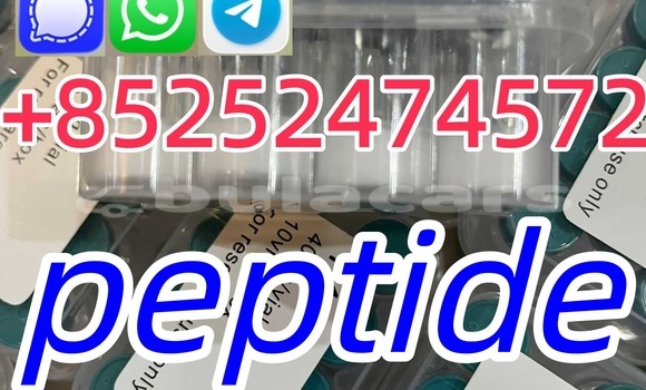 Medium with watermark 86ff5ebf 017e 4a7f 9f93 e05e335f64a2 %e5%89%af%e6%9c%ac %e5%89%af%e6%9c%ac