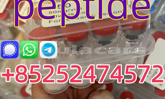 Medium with watermark 45afec8a 1c36 4324 9a1e d1869618c1f1 %e5%89%af%e6%9c%ac %e5%89%af%e6%9c%ac