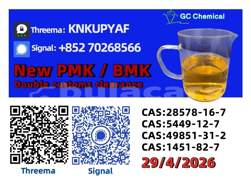 Big with watermark bronto fora western komave 15191