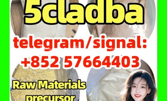 Medium with watermark 5cc1