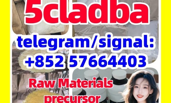 Medium with watermark 5cl5