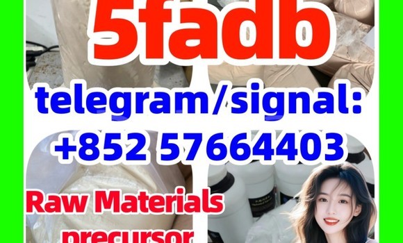 Medium with watermark 51