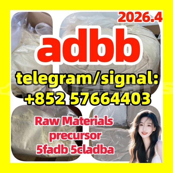 Big with watermark 555