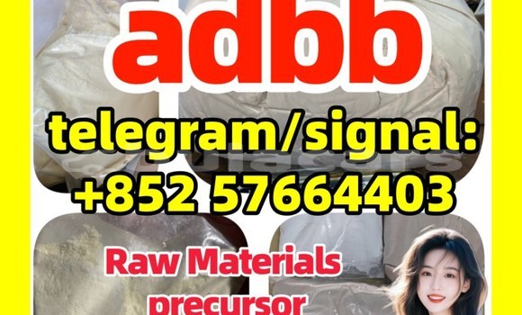 Medium with watermark 555