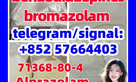 Medium with watermark b1