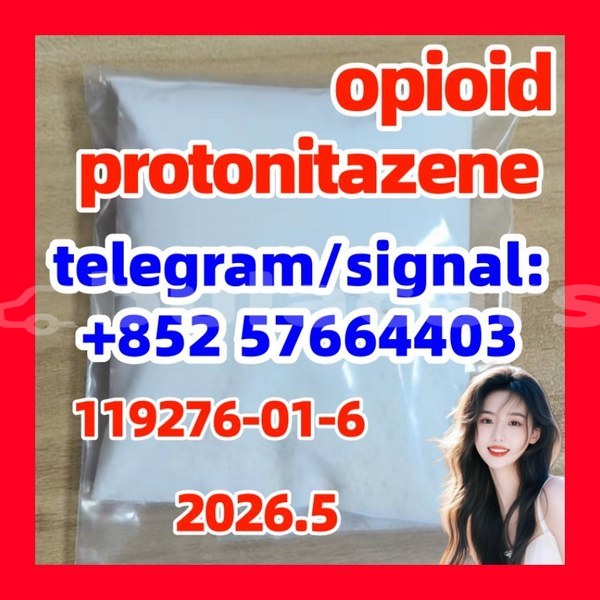 Big with watermark pro1