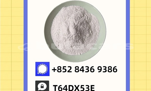 Acheter Occasion Voiture Donkervoort D8 GTO Bleu à Namosi, Central