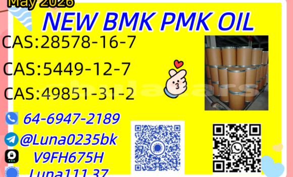 Buy Used Abarth 500 Beige Car in Barotu in Western