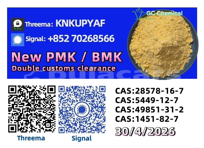 Big with watermark coggiola t rex western ba 15268