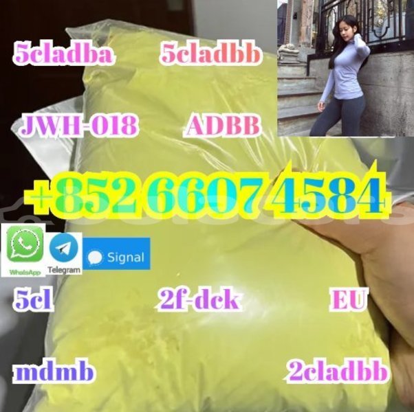 Big with watermark alpina b5 western barotu 15276