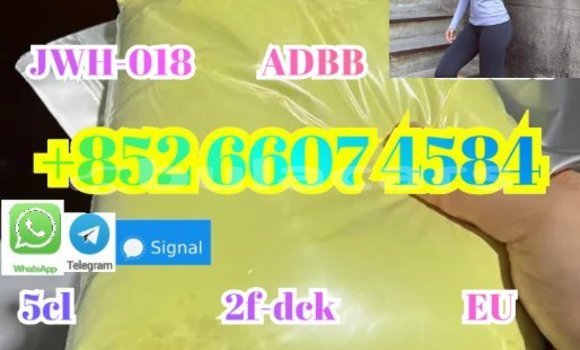 Buy New Alpina B5 Black Car in Barotu in Western