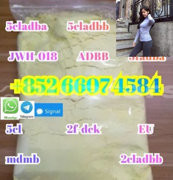 Big with watermark alpina b5 western barotu 15276