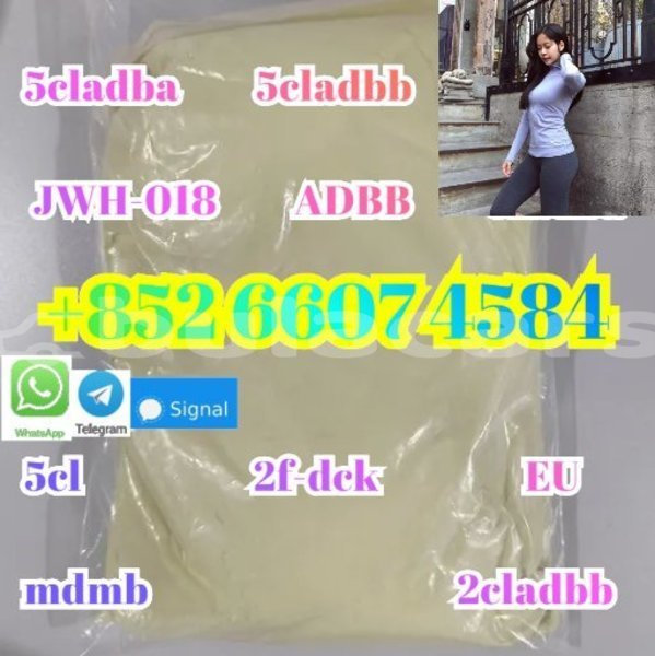 Big with watermark alpina b5 western barotu 15276