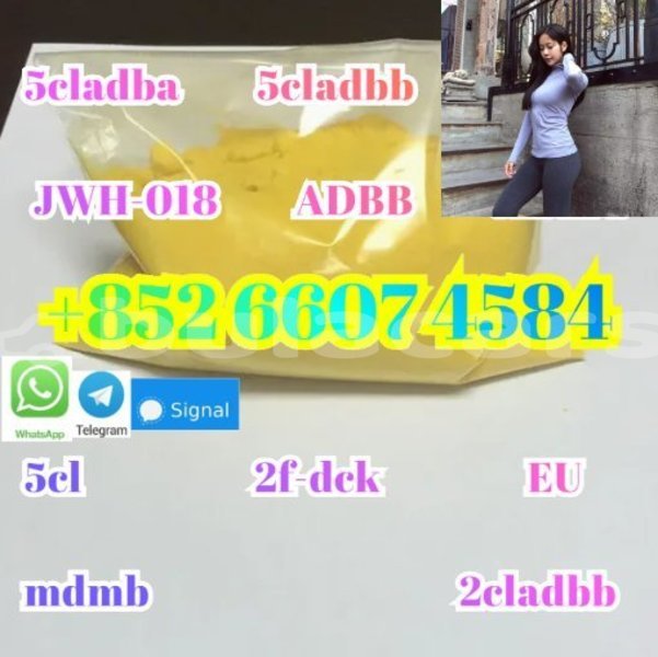 Big with watermark alpina b5 western barotu 15276