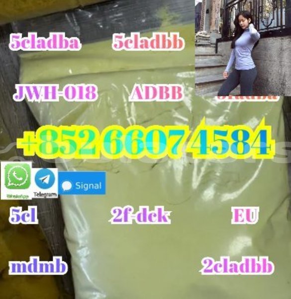 Big with watermark alpina b5 western barotu 15276