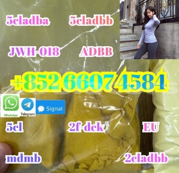 Big with watermark alpina b5 western barotu 15276