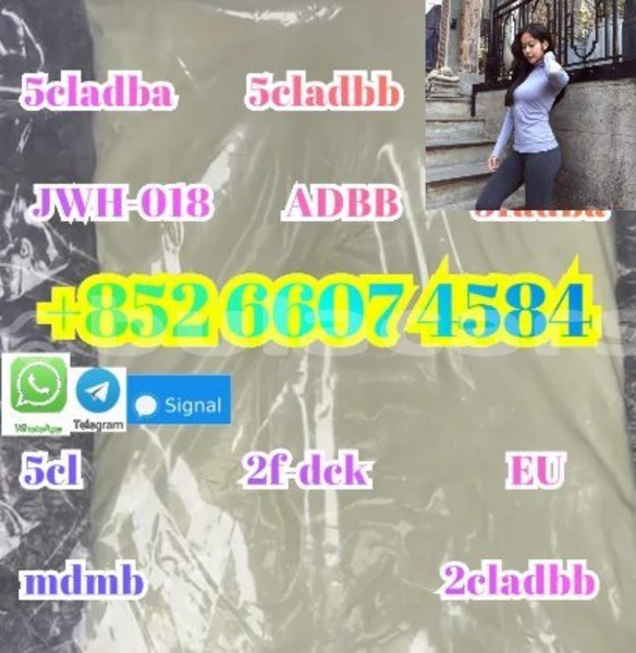 Big with watermark alpina b5 western barotu 15276