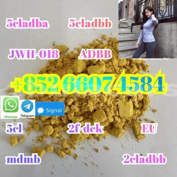 Big with watermark alpina b5 western barotu 15276