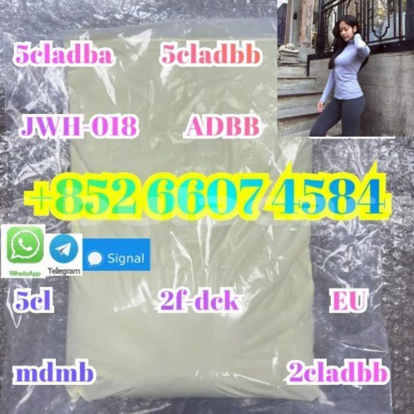 Big with watermark alpina b5 western barotu 15276