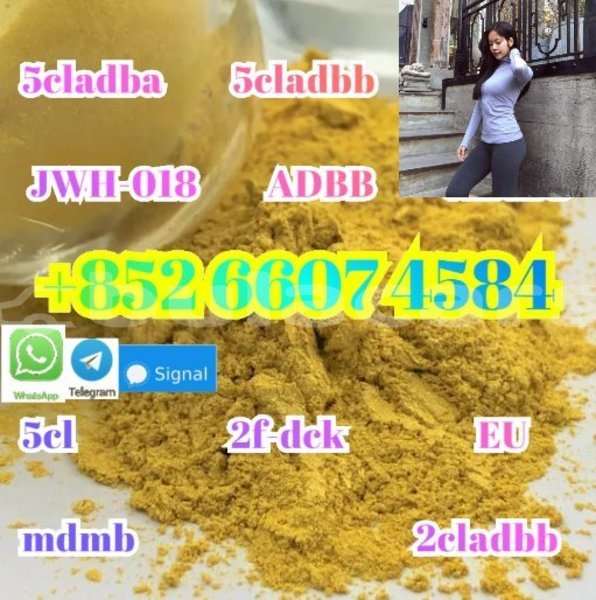 Big with watermark alpina b4 central korovou 15277