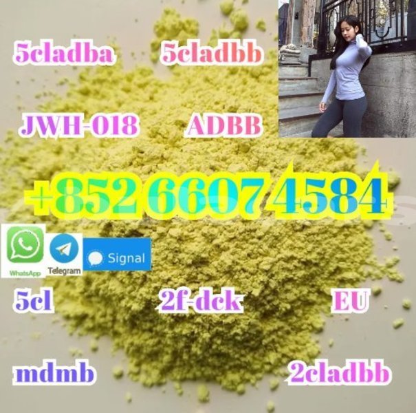 Big with watermark alpina b4 central korovou 15277