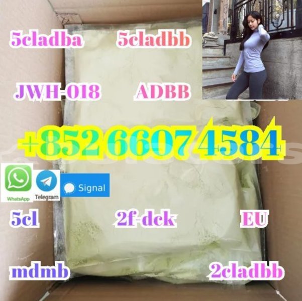 Big with watermark alpina b4 central korovou 15277