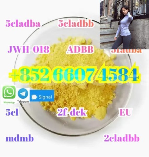 Big with watermark alpina b4 central korovou 15277