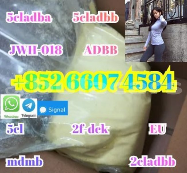 Big with watermark alpina b4 central korovou 15277